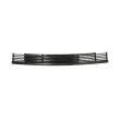 BLIC 6502-07-0060999P - Grille de ventilation, pare-chocs