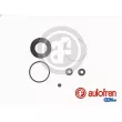Kit de réparation, étrier de frein AUTOFREN SEINSA [D4250]