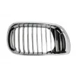 BLIC 6502-07-0061994AQ - Grille de radiateur