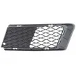 BLIC 6502-07-00629913Q - Grille de ventilation, pare-chocs avant gauche 