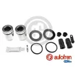 AUTOFREN SEINSA D43173C - Kit de réparation, étrier de frein