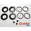 Kit de réparation, étrier de frein AUTOFREN SEINSA [D4412]