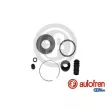 AUTOFREN SEINSA D4663 - Kit de réparation, étrier de frein