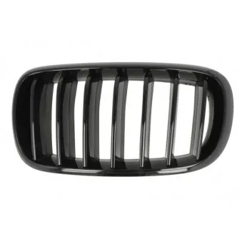 Grille de radiateur avant gauche BLIC 6502-07-00969977P pour BMW X6 xDrive 40 d - 313cv
