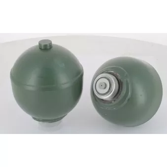 Jeu de 2 sphères CEVAM OEM 95564974