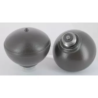 Jeu de 2 sphères CEVAM OEM 527289