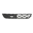 BLIC 6502-07-0502924P - Grille de ventilation, pare-chocs