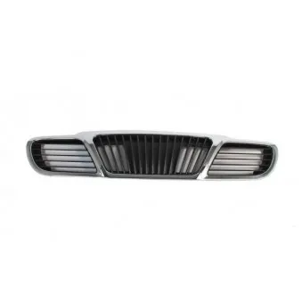 Grille de radiateur BLIC 6502-07-1106990P