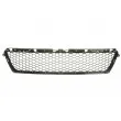 BLIC 6502-07-1302910P - Grille de ventilation, pare-chocs