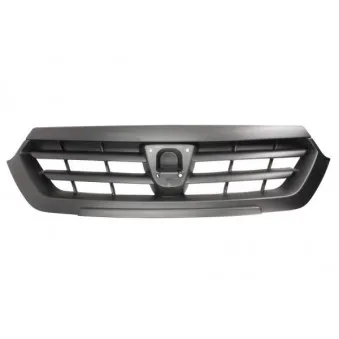 Grille de radiateur BLIC 6502-07-1311990P