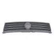 Grille de radiateur BLIC [6502-07-2027991Q]