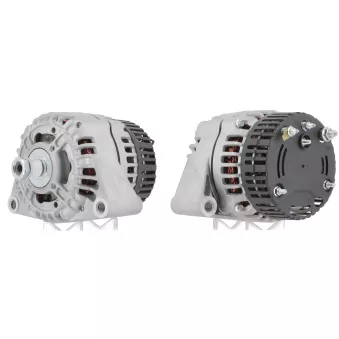 Alternateur CEVAM OEM 4281879M91