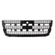 BLIC 6502-07-2510990P - Grille de radiateur