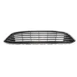 BLIC 6502-07-2536999P - Grille de radiateur