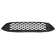 BLIC 6502-07-253699AP - Grille de radiateur