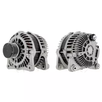 Alternateur CEVAM OEM 231003VD1A