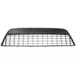 BLIC 6502-07-2556999Q - Grille de ventilation, pare-chocs