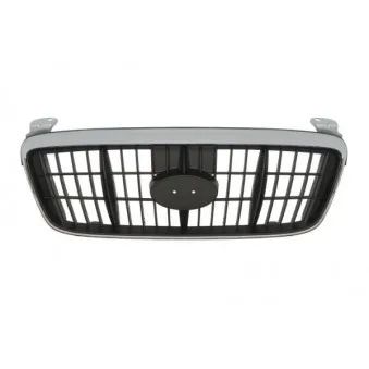 Grille de radiateur BLIC 6502-07-3163990P
