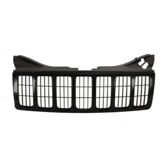 Grille de radiateur BLIC 6502-07-3205990P