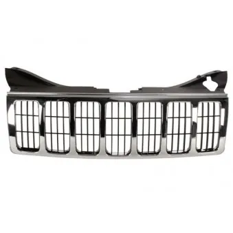 Grille de radiateur BLIC 6502-07-3205991P