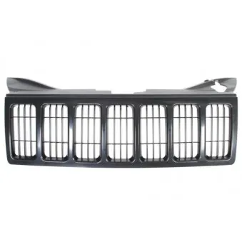 Grille de radiateur BLIC 6502-07-3205992P