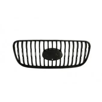 BLIC 6502-07-3265990P - Grille de radiateur