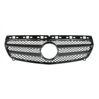 Grille de radiateur BLIC 6502-07-3507990Q