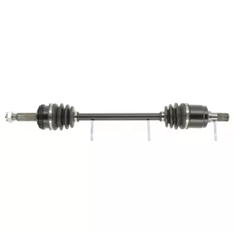 Arbre de transmission CEVAM OEM 495001C050