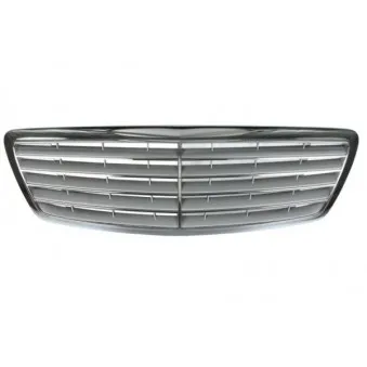 Grille de radiateur BLIC 6502-07-3517992P