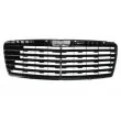 BLIC 6502-07-3527992P - Grille de radiateur