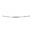 BLIC 6502-07-3529929P - Baguette et bande protectrice, pare-chocs avant gauche 