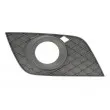 BLIC 6502-07-3538918P - Grille de ventilation, pare-chocs