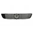 BLIC 6502-07-3541993P - Grille de radiateur