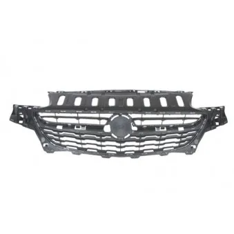 Grille de radiateur BLIC 6502-07-5025990Q