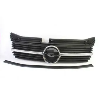 Grille de radiateur BLIC 6502-07-5040990P Grille de radiateur BLIC 6502-07-5040990P