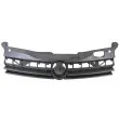 BLIC 6502-07-5052990P - Grille de radiateur