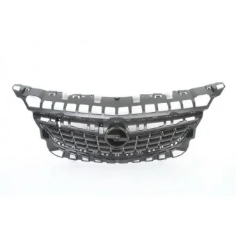 Grille de radiateur BLIC 6502-07-5053990P