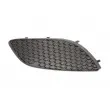 BLIC 6502-07-5063916Q - Grille de ventilation, pare-chocs avant droit 