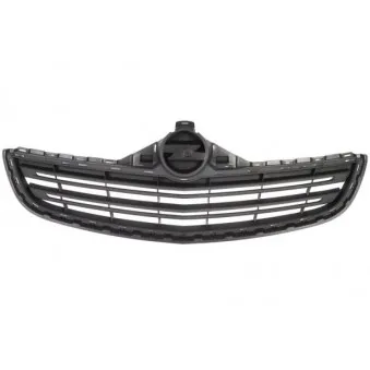 Grille de radiateur BLIC 6502-07-5097990P