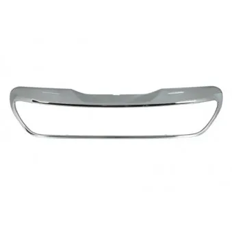 Cadre, grille de radiateur BLIC 6502-07-5504991P