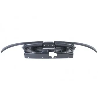 Grille de radiateur BLIC 6502-07-5507992P