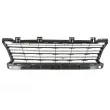 BLIC 6502-07-5519913P - Grille de ventilation, pare-chocs