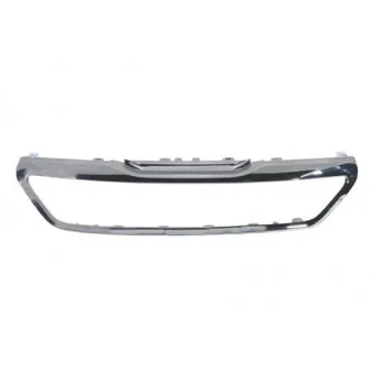 BLIC 6502-07-5519996P - Baguette et bande protectrice, grille de radiateur