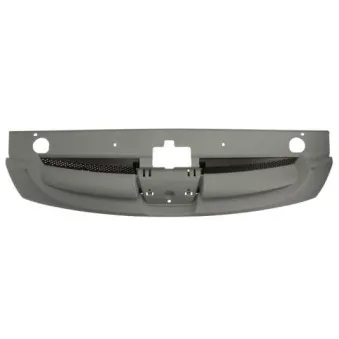 Grille de radiateur BLIC 6502-07-5561990P
