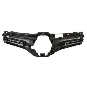 Grille de radiateur BLIC 6502-07-6011993P