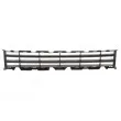 BLIC 6502-07-6041910P - Grille de ventilation, pare-chocs