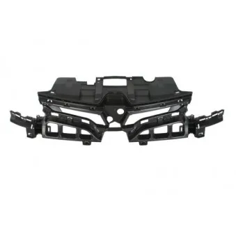 Baguette et bande protectrice, grille de radiateur BLIC 6502-07-6043991P