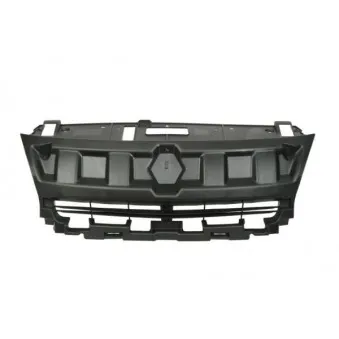 Grille de radiateur BLIC 6502-07-6046990P