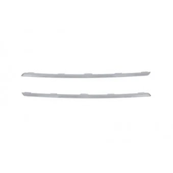 Jeu de baguettes et bandes protectrices, grille de radiateur BLIC 6502-07-6090993P