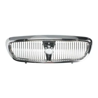 Grille de radiateur BLIC 6502-07-6431990P